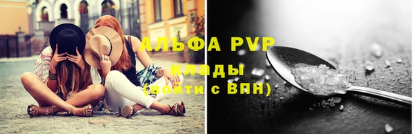 дживик Шали