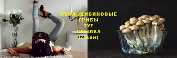 марки lsd Козельск