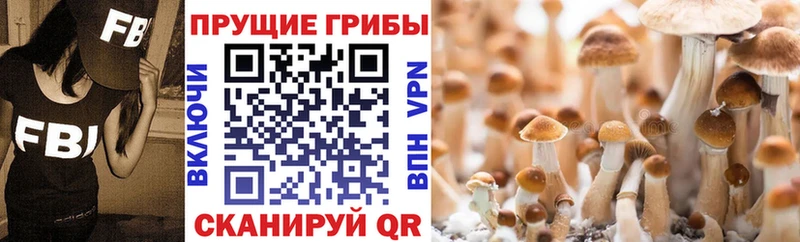 Галлюциногенные грибы прущие грибы  гидра tor  Плавск 